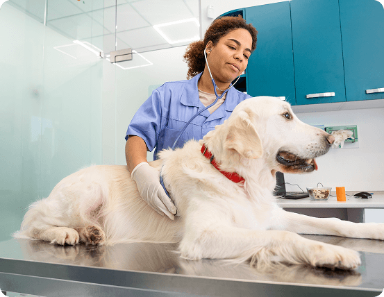 Chronic Pain Management