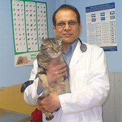 Dr. Rattan Garg DVM Dr. Rattan Garg DVM